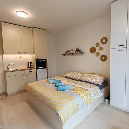 Apartment A Star With Terrace Brno